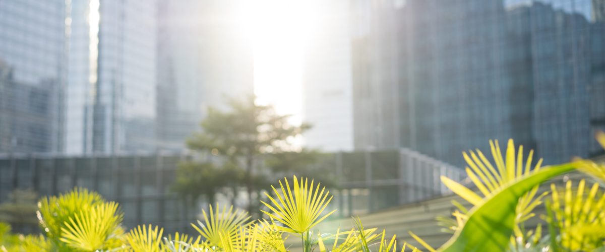 garden among modern buildings