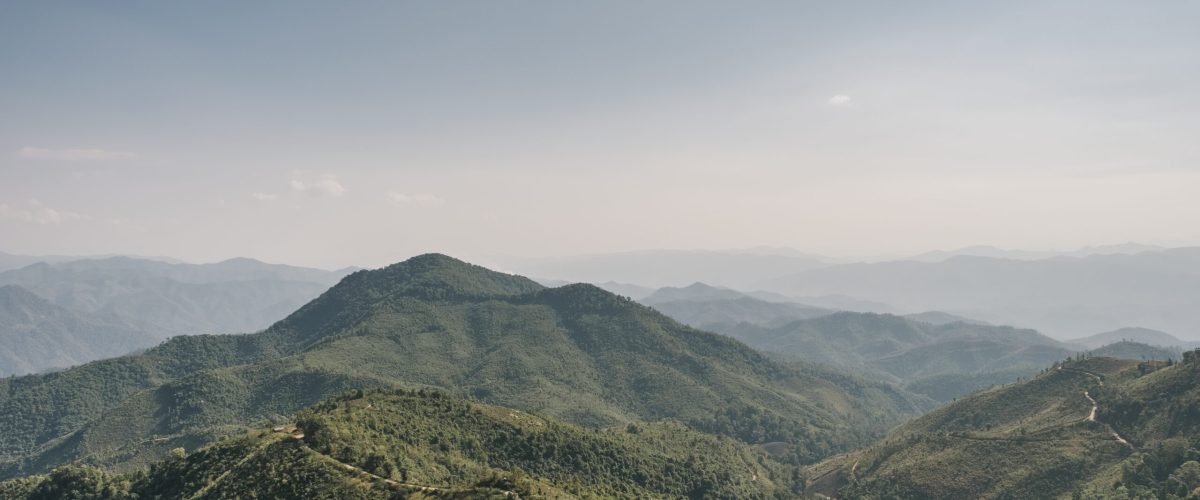 mountain forest and blue sky